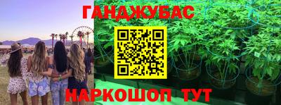 гашик Малоярославец