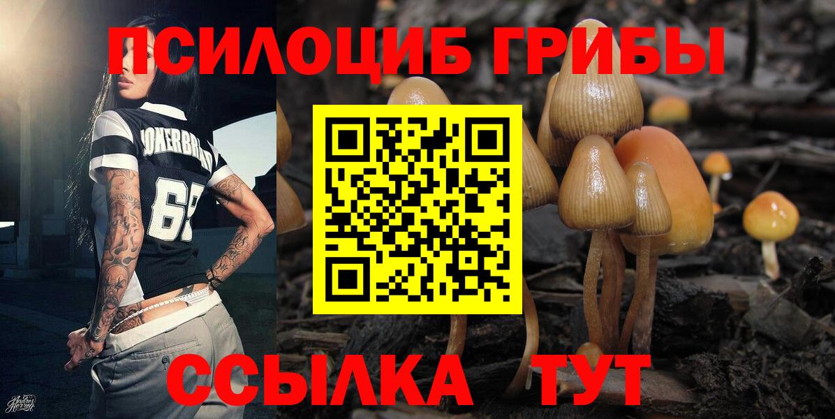 Псилоцибиновые грибы мухоморы Верхняя Салда